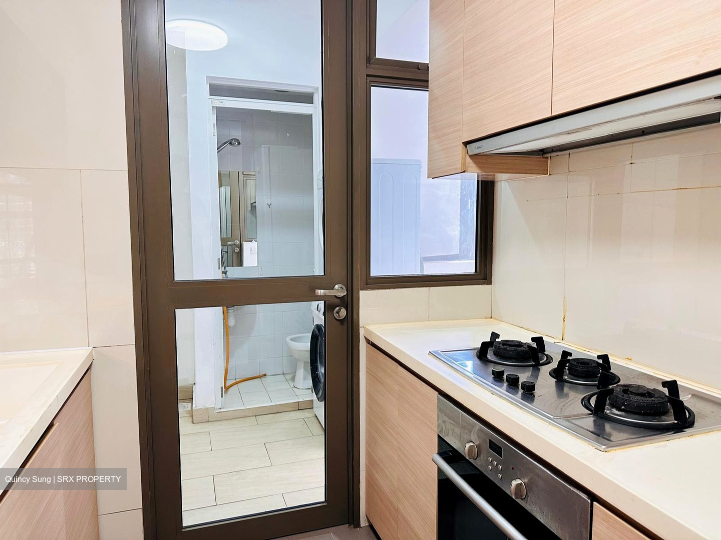 Parc Vera (D19), Condominium #452375241